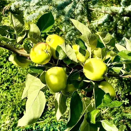 Сasa de vacaciones Traditional Kalmar House Close To The Yderby