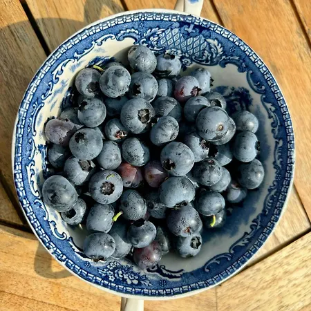 Traditional Kalmar House Close To The * Yderby