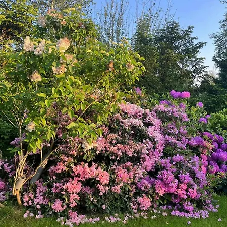 Traditional Kalmar House Close To The *